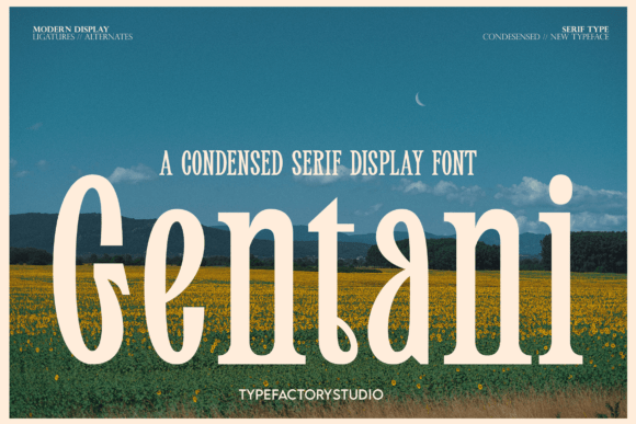 Gentani: A Display Serif Font for Sharp Brand Campaigns